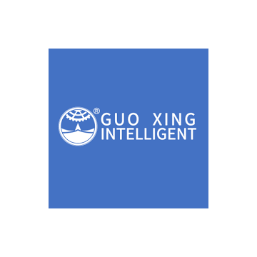 Guo Xing AT9S Fernsteuerung (AT9S)